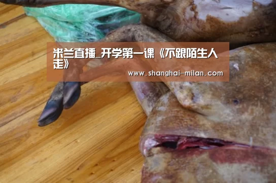 米兰直播_开学第一课《不跟陌生人走》(图2) 米兰直播